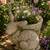 Rabbit Planter 1 thumbnail