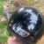 Multiple helmets 11 thumbnail