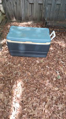 Igloo Cooler 1