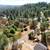 JUST REDUCED!!  Alta Sierra Estates, 15 Minutes to Town, .94 Acres 4 thumbnail