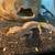 Leopard Gecko for sale (OBO) 1 thumbnail