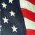 AMERICAN FLAG New Patriotic U.S.A. Decorative Yard Holiday Decoration 7 thumbnail