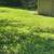 Nicely updated property- Worth a look ! 4 thumbnail