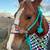 Gelding 15 thumbnail
