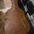 Gibson Hardshell Case ( 2026 ) 6 thumbnail