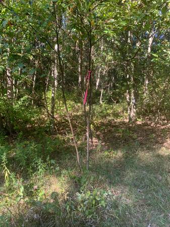 $495 Lakefront 4 Acres  -  Land Contract (Gobles)64151604591363121