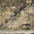 2 buildable lots. big 2.4 acres. Power and sewer at the road 11 thumbnail