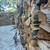 FIREWOOD DELIVERED / DRY /JTB, Jax,Op,St Aug 3 thumbnail