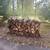 Seasoned firewood 1 thumbnail