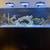 Red Sea Reefer 3xl 900 240 Gallon Saltwater Aquarium 1 thumbnail