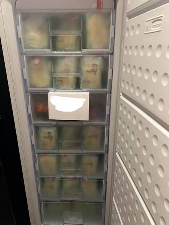 Breastmilk - Frozen or Fresh 1