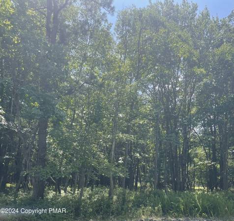 Affordable Poconos Lot! STR-Friendly Mt. Pocahontas – Low Taxes & HOA 1
