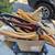 Assorted free household items 6 thumbnail