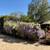 Carmel Valley Village 7 thumbnail