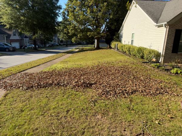 Everbloom Services LLC 1