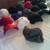 HELLO, SELLING MY COLLECTION OF HATS REAND NEW !! NEVER WORN! 5 thumbnail