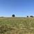 5 Acres for sale on Cadiz Springs Road Monroe WI (not HOA or Subdivisi 3 thumbnail