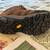 Merrell Moab 3 Hiking Boot size 11Wide 2 thumbnail