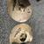 Zildjian A Custom Cymbals 3 thumbnail