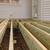 William keith custom decks..construction  co ..painting co .shed bars. 3 thumbnail
