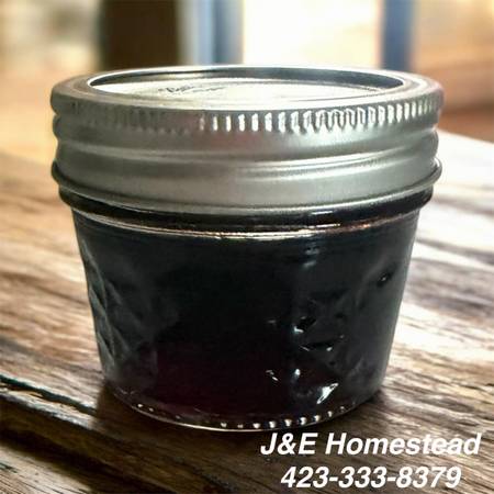Elderberry jelly 1