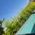 YARD CLEANUPS! IRRIGATION REPAIRS! TURF INSTALLS! 3 thumbnail