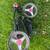 Folding Golf Push Cart 6 thumbnail