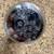 Brand new Curt 2" trailer ball / hitch 2 thumbnail