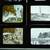Antique Magic Lantern Glass Slides Lot 12 India Delhi Benares Boston 5 thumbnail