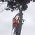 Johns Complete Tree Service Insured : 216-855-6612 24 thumbnail