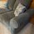 Cozy Gray Sofa - Excellent Condition - DELIVERY AVAILABLE! 3 thumbnail