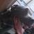 A friend 1 thumbnail