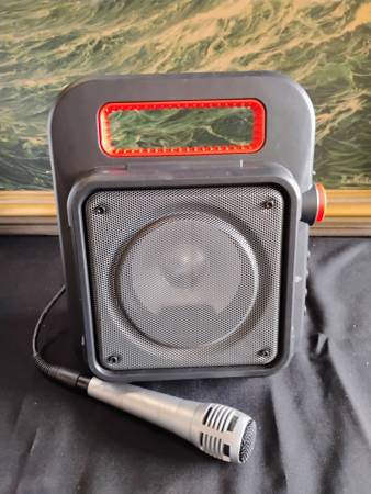 Wireless Speaker with Microphone 1