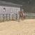 Husband/ trail/ lesson horse 4 thumbnail