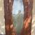 Feather River Stained Glass Door 1 thumbnail