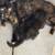 Free kittens 7 thumbnail
