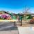 Rare Gem: Spacious Studio w/ Hardwood Floors & Laundry Perks! 4 thumbnail