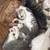 Beautiful Savannah & Point Lynx mix kittens 3 thumbnail