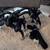 Yakima Canoe or Paddleboard Roof Mount Carriers with Straps 7 thumbnail