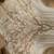 Bridal Gown 5 thumbnail