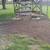 TIMMER'S STUMP GRINDING---FULLY INSURED---RELIABLE 5 thumbnail