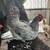 Roosters 1 thumbnail