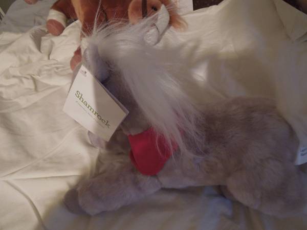 Wells Fargo grey plush Shamrock 1