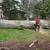 Tree service 4 thumbnail