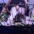 2 Bonded Ferrets 1 thumbnail