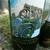 2007 Ironstone Concours d' Elegance engraved wine bottle 2 thumbnail