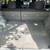 2015 Toyota Prius Hybrid – Excellent Condition, 114k miles, $11,490 11 thumbnail