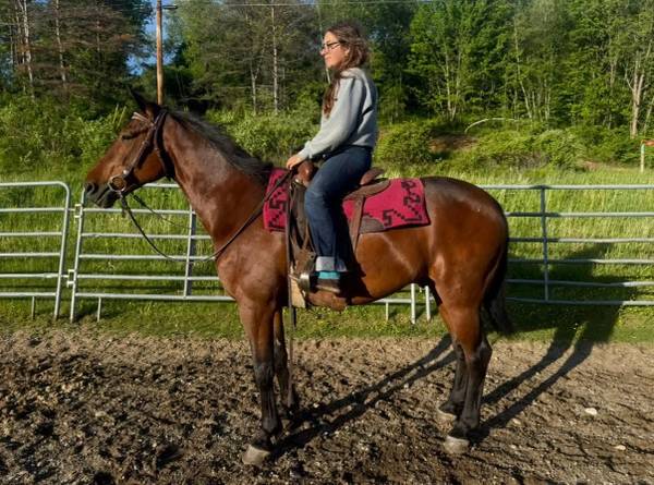 Beginner safe super trail horse 1