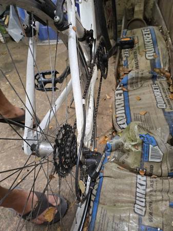 Mongoose bicycle 1