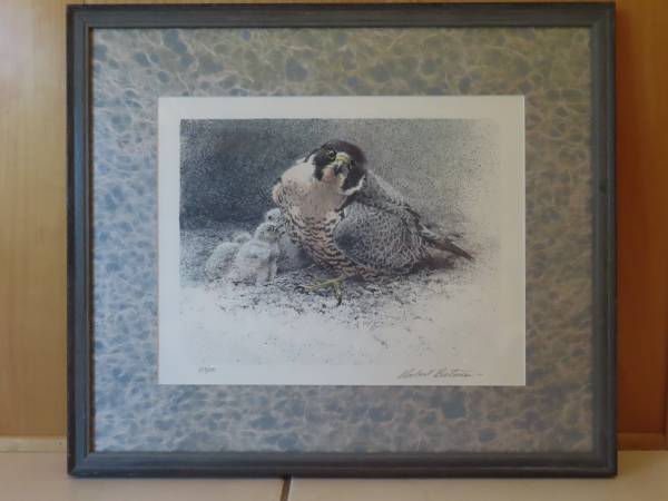 Robert Bateman "Peregrine and Young" Signed-Numbered Ltd. Ed. Print 1